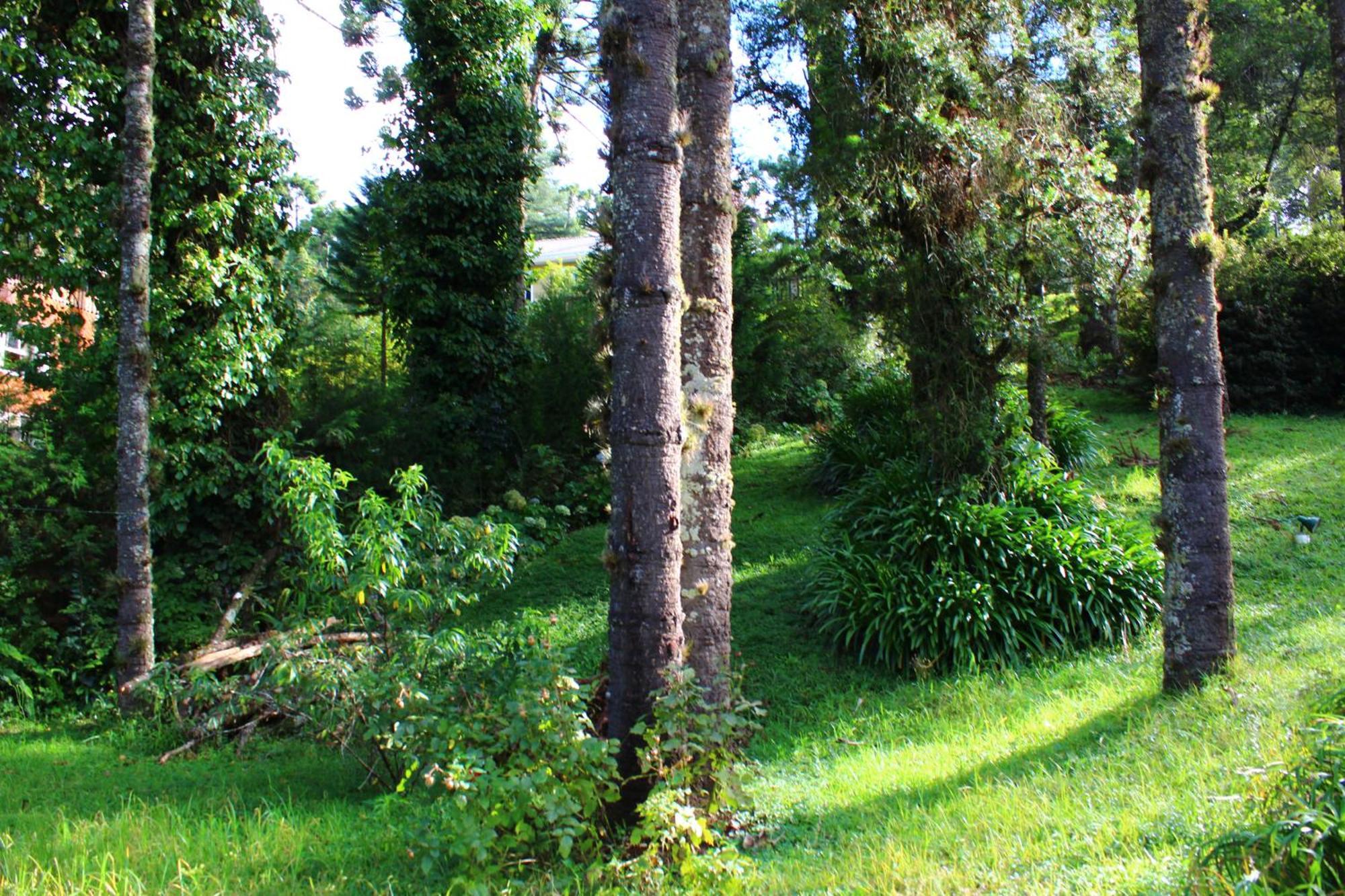 Chale Mon Amour 3 Campos do Jordao Ngoại thất bức ảnh