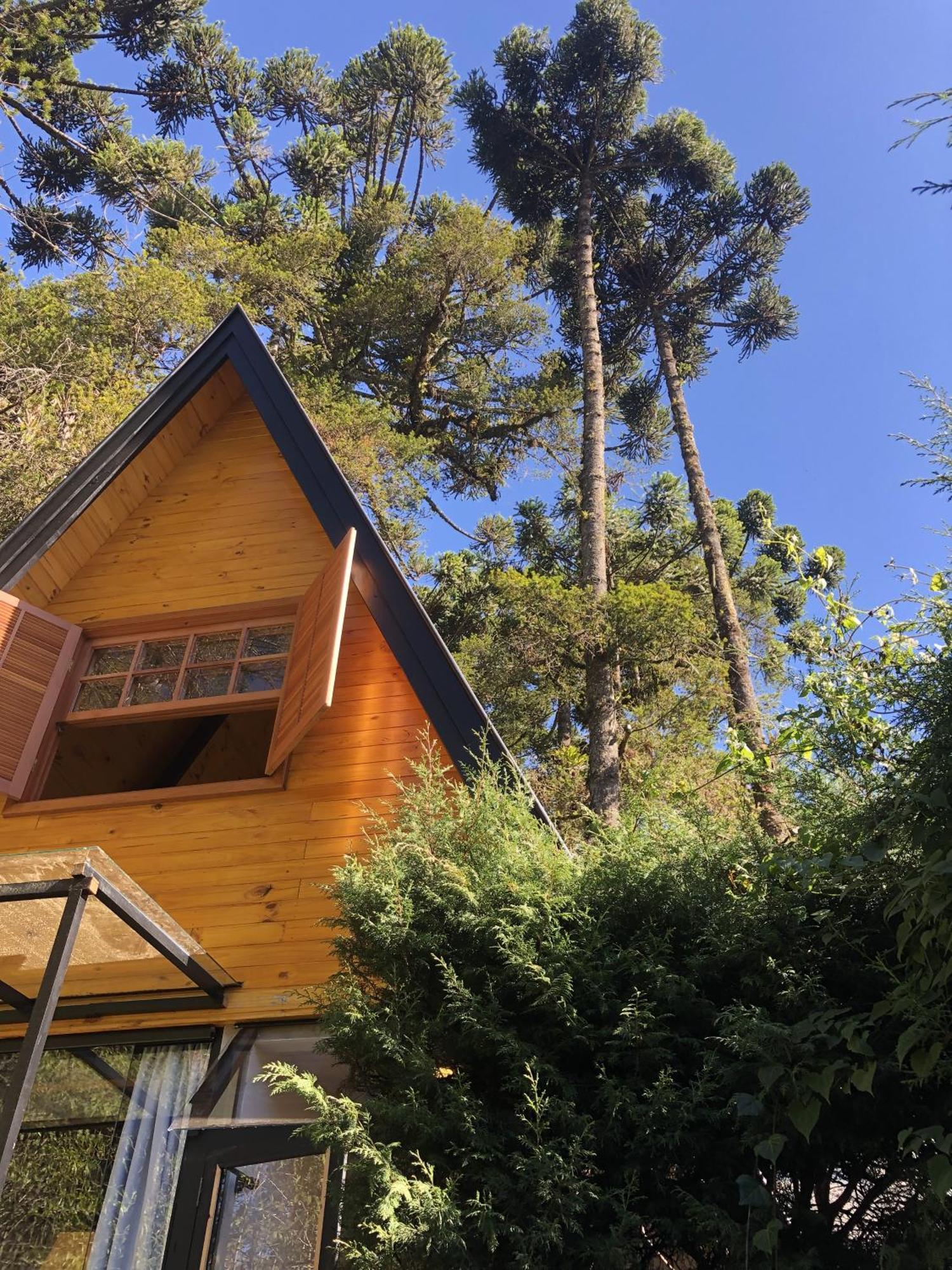 Chale Mon Amour 3 Campos do Jordao Ngoại thất bức ảnh