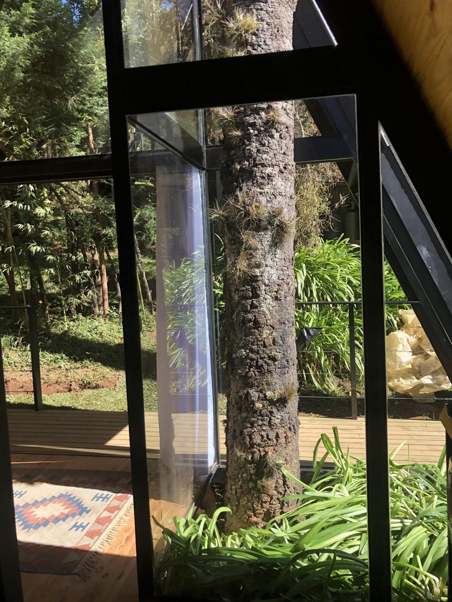 Chale Mon Amour 3 Campos do Jordao Ngoại thất bức ảnh
